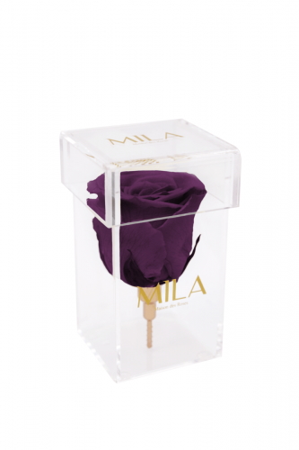 Produit Mila-Roses-00476 Mila Acrylic Single Stem - Velvet purple