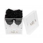  Mila-Roses-00505 Mila Acrylic Mini Bijou - Black Velvet