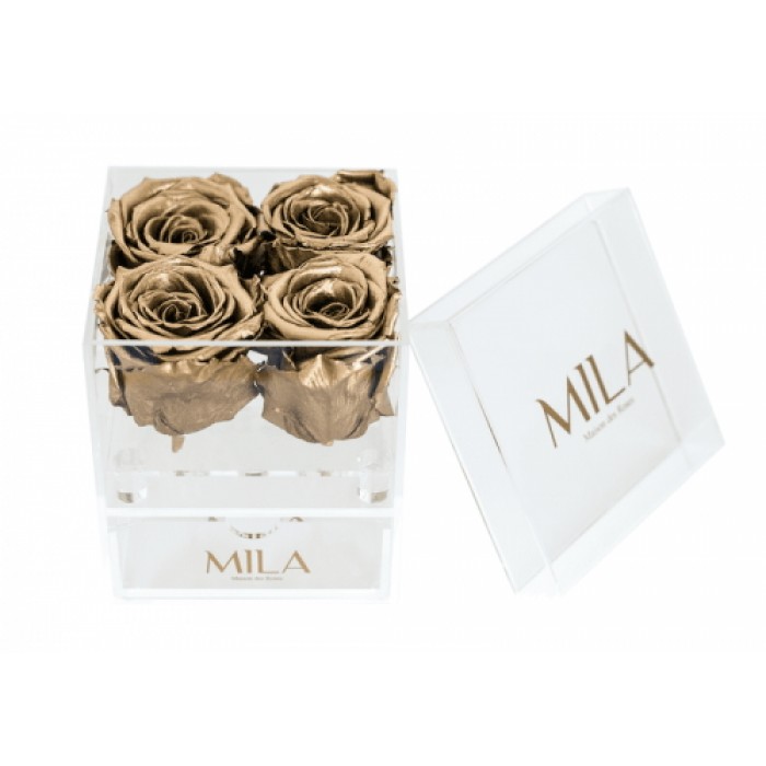 Mila Acrylic Mini Bijou - Metallic Gold