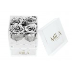  Mila-Roses-00515 Mila Acrylic Mini Bijou - Metallic Silver