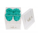  Mila-Roses-00519 Mila Acrylic Mini Bijou - Aquamarine