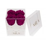  Mila-Roses-00525 Mila Acrylic Mini Bijou - Fuchsia