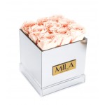  Mila-Roses-00629 Mila Acrylic Mirror - Pure Peach