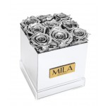 Mila-Roses-00635 Mila Acrylic Mirror - Metallic Silver