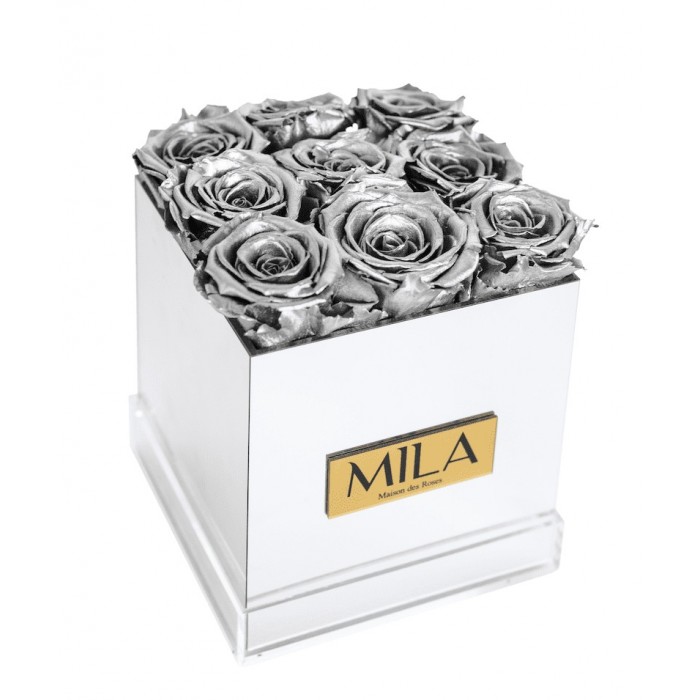 Mila Acrylic Mirror - Metallic Silver