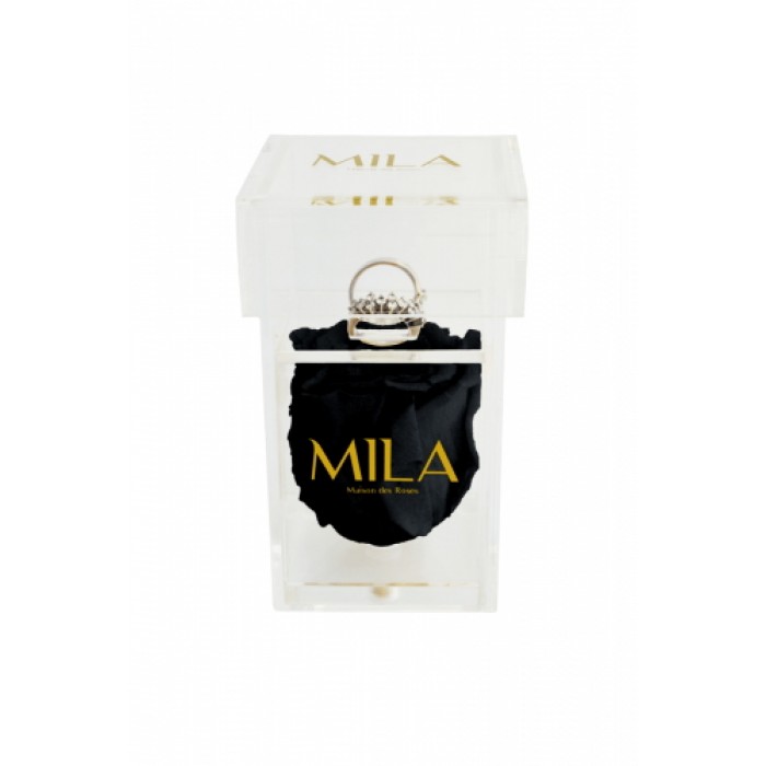Mila Acrylic Single Ring - Black Velvet