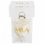  Mila-Roses-00650 Mila Acrylic Single Ring - White Cream