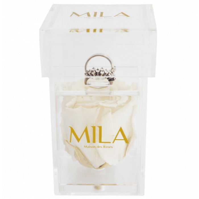 Mila Acrylic Single Ring - White Cream