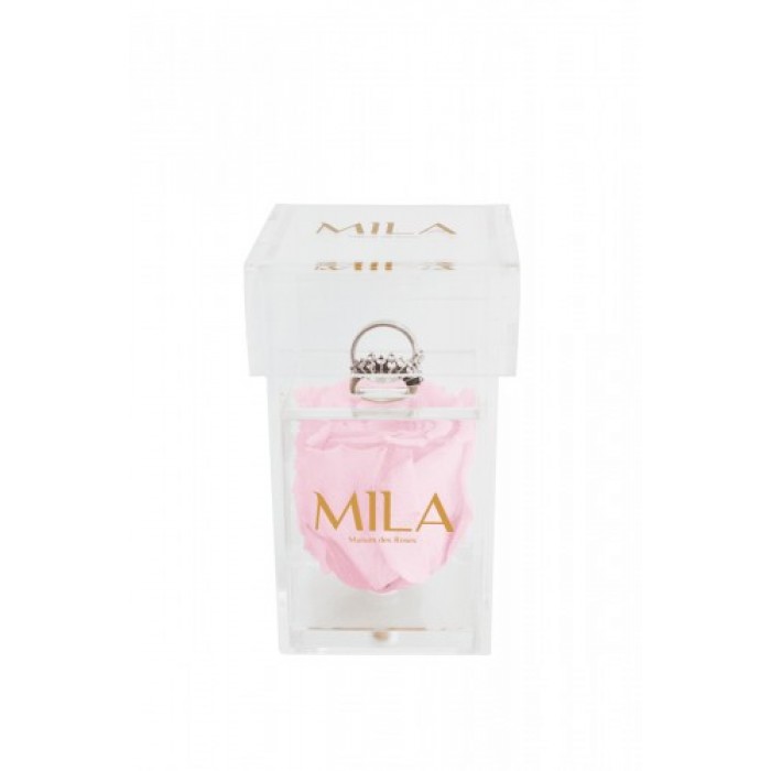 Mila Acrylic Single Ring - Pink Blush