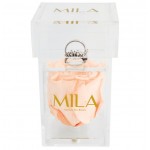  Mila-Roses-00653 Mila Acrylic Single Ring - Pure Peach