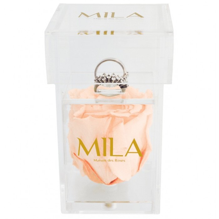Mila Acrylic Single Ring - Pure Peach