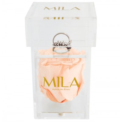 Produit Mila-Roses-00653 Mila Acrylic Single Ring - Pure Peach