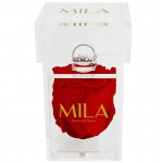  Mila-Roses-00654 Mila Acrylic Single Ring - Rouge Amour