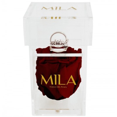 Produit Mila-Roses-00655 Mila Acrylic Single Ring - Rubis Rouge