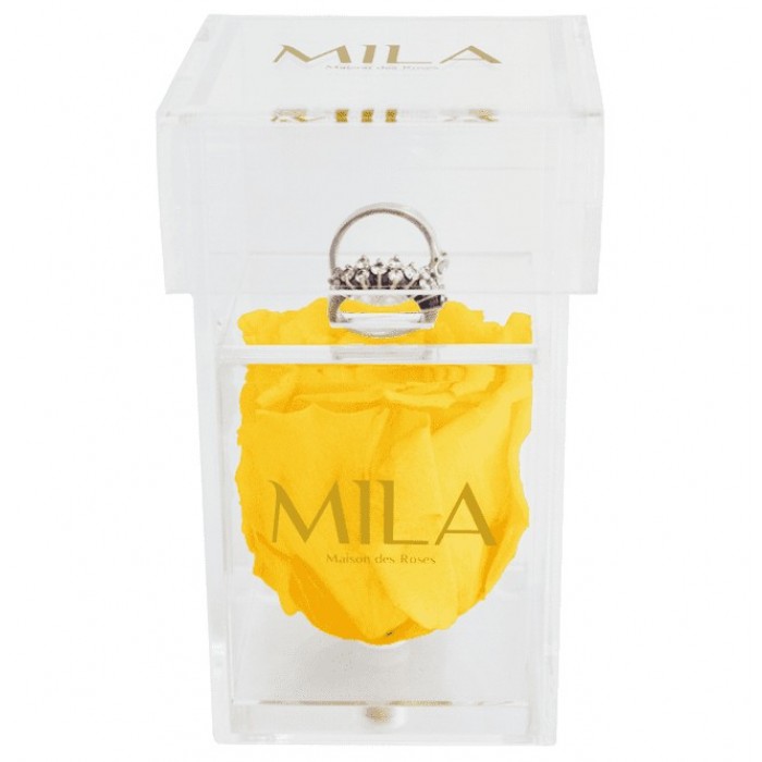 Mila Acrylic Single Ring - Yellow Sunshine