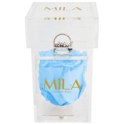 Produit Mila-Roses-00662 Mila Acrylic Single Ring - Baby blue