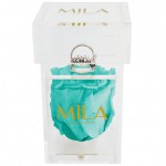  Mila-Roses-00663 Mila Acrylic Single Ring - Aquamarine