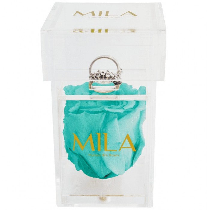 Mila Acrylic Single Ring - Aquamarine