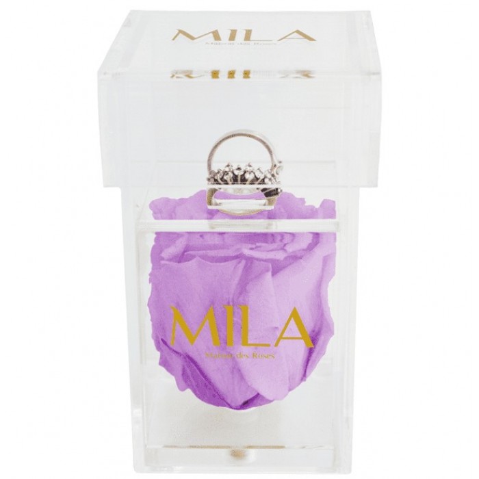 Mila Acrylic Single Ring - Lavender