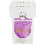  Mila-Roses-00666 Mila Acrylic Single Ring - Mauve