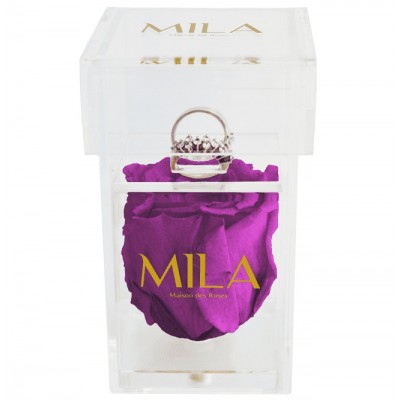 Produit Mila-Roses-00667 Mila Acrylic Single Ring - Violin