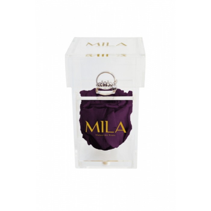 Mila Acrylic Single Ring - Velvet purple