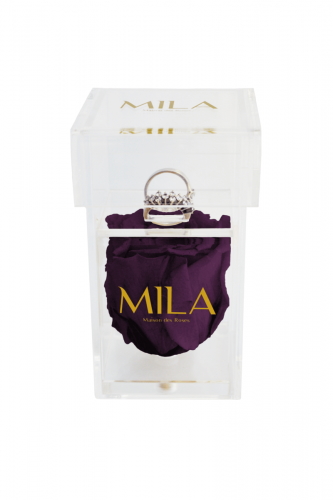 Produit Mila-Roses-00668 Mila Acrylic Single Ring - Velvet purple