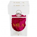  Mila-Roses-00669 Mila Acrylic Single Ring - Fuchsia