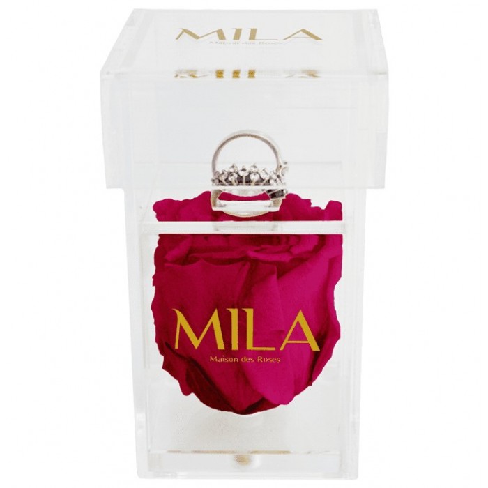 Mila Acrylic Single Ring - Fuchsia
