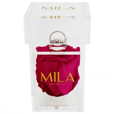 Produit Mila-Roses-00669 Mila Acrylic Single Ring - Fuchsia