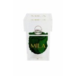  Mila-Roses-00670 Mila Acrylic Single Ring - Emeraude