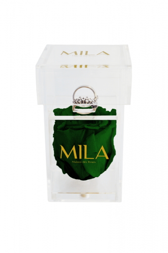 Produit Mila-Roses-00670 Mila Acrylic Single Ring - Emeraude