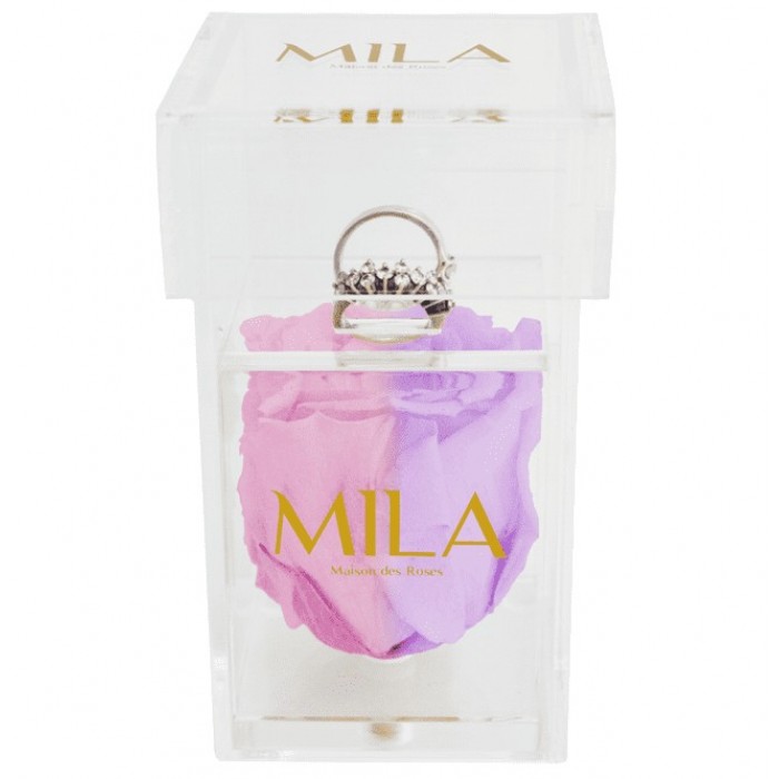 Mila Acrylic Single Ring - Vintage rose