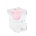  Mila-Roses-00676 Mila Acrylic Baby Bijou - Pink Blush