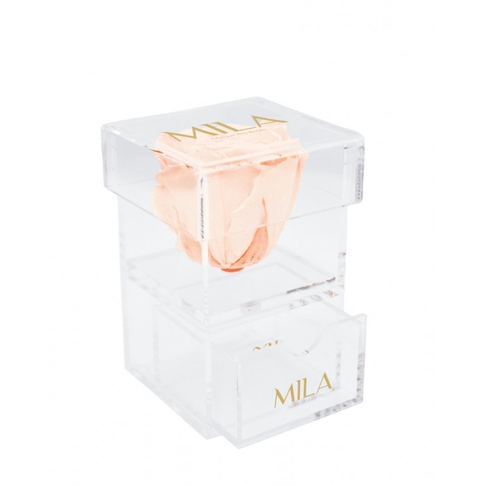 Mila Acrylic Baby Bijou - Pure Peach