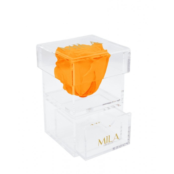 Mila Acrylic Baby Bijou - Orange Bloom