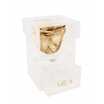  Mila-Roses-00682 Mila Acrylic Baby Bijou - Metallic Gold