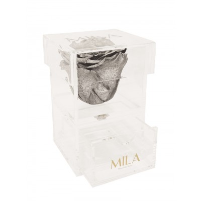 Produit Mila-Roses-00683 Mila Acrylic Baby Bijou - Metallic Silver