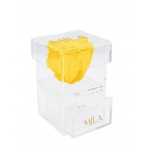  Mila-Roses-00685 Mila Acrylic Baby Bijou - Yellow Sunshine