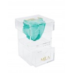 Mila-Roses-00687 Mila Acrylic Baby Bijou - Aquamarine