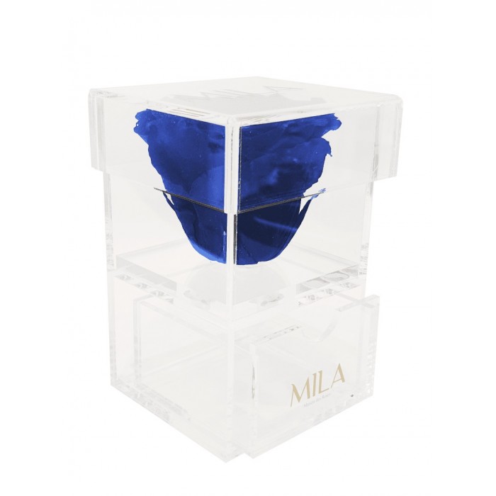 Mila Acrylic Baby Bijou - Royal blue
