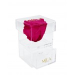  Mila-Roses-00693 Mila Acrylic Baby Bijou - Fuchsia