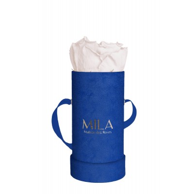 Produit Mila-Roses-00800 Mila Velvet Baby Royal Blue Velvet Baby - Pink bottom