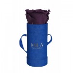  Mila-Roses-00803 Mila Velvet Baby Royal Blue Velvet Baby - Velvet purple