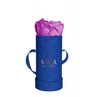 Produit Mila-Roses-00805 Mila Velvet Baby Royal Blue Velvet Baby - Mauve