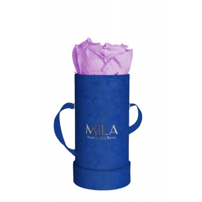 Produit Mila-Roses-00806 Mila Velvet Baby Royal Blue Velvet Baby - Lavender
