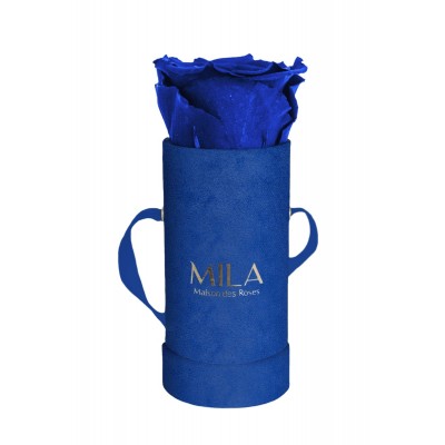 Produit Mila-Roses-00807 Mila Velvet Baby Royal Blue Velvet Baby - Royal blue