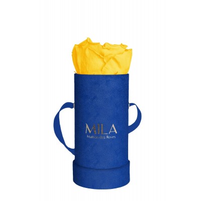 Produit Mila-Roses-00810 Mila Velvet Baby Royal Blue Velvet Baby - Yellow Sunshine