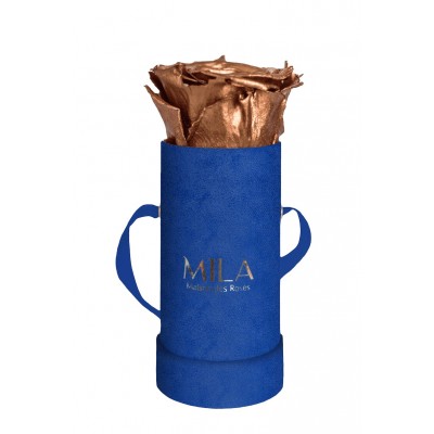 Produit Mila-Roses-00811 Mila Velvet Baby Royal Blue Velvet Baby - Metallic Copper