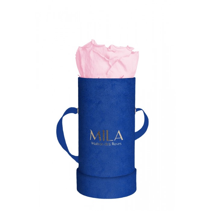 Mila Velvet Baby Royal Blue Velvet Baby - Pink Blush